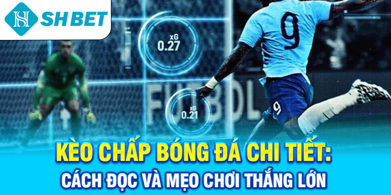 Thể Thao SHBET – Cược Trực Tuyến Uy Tín Số 1 Hiện Nay - KECIMO.IM