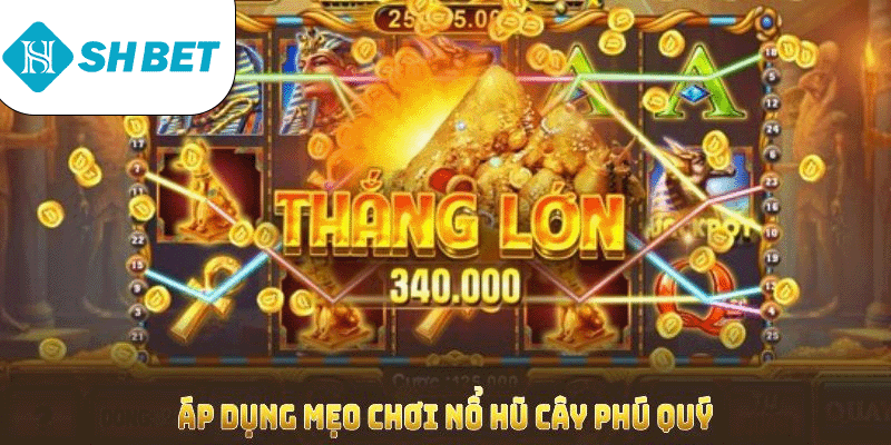 Nổ Hũ Cây Phú Quý SHBET Mang Đến Cơ Hội Kiếm Thưởng Dễ Dàng - KECIMO.IM