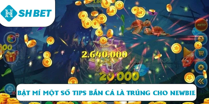 Bắn Cá Đổi Thưởng SHBET | Săn Cực Đã, Thưởng Cực Chất - Shbet-okvip.uk.com - KECIMO.IM