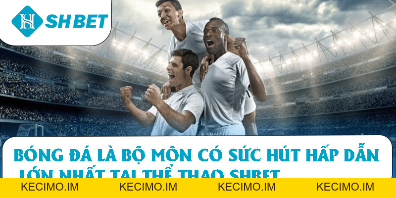 Thể Thao SHBET – Cược Trực Tuyến Uy Tín Số 1 Hiện Nay - KECIMO.IM