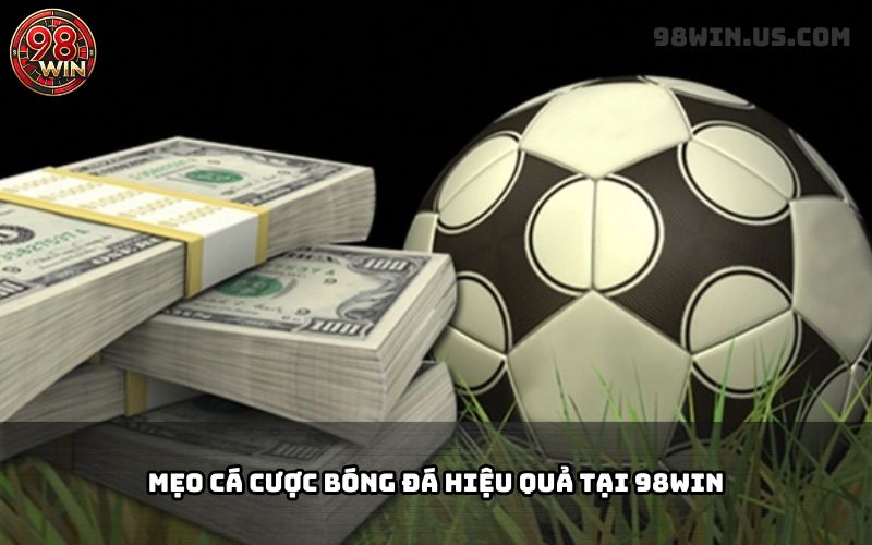 Cá Cược Bóng Đá 98Win - Tỷ Lệ Kèo Chuẩn, Đa Dạng Giải Đấu - KECIMO.IM