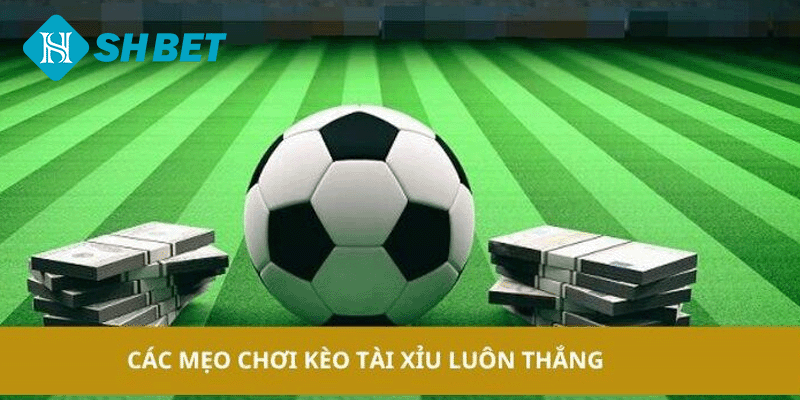 Tìm Hiểu Về Kèo Tài Xỉu SHBET Những Điều Cần Biết Cho Tân Thủ - KECIMO.IM