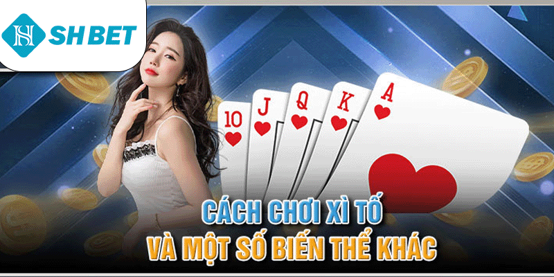 Cách Chơi Xì Tố – Hướng Dẫn Chi Tiết Từ nhà cái SHBET - KECIMO.IM