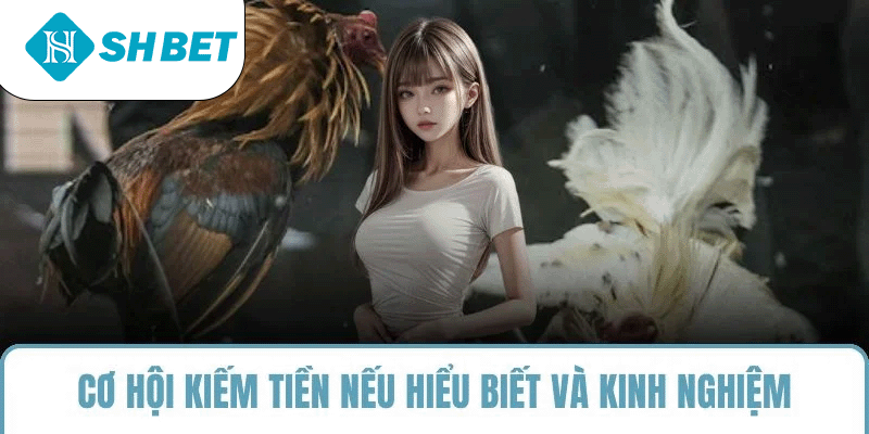 Đá Gà SHBET – Sân Chơi Cá Cược Uy Tín - KECIMO.IM