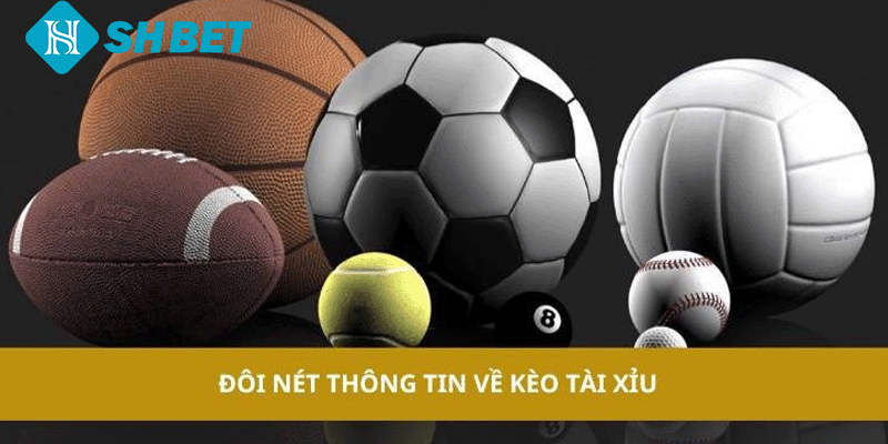 Tìm Hiểu Về Kèo Tài Xỉu SHBET Những Điều Cần Biết Cho Tân Thủ - KECIMO.IM