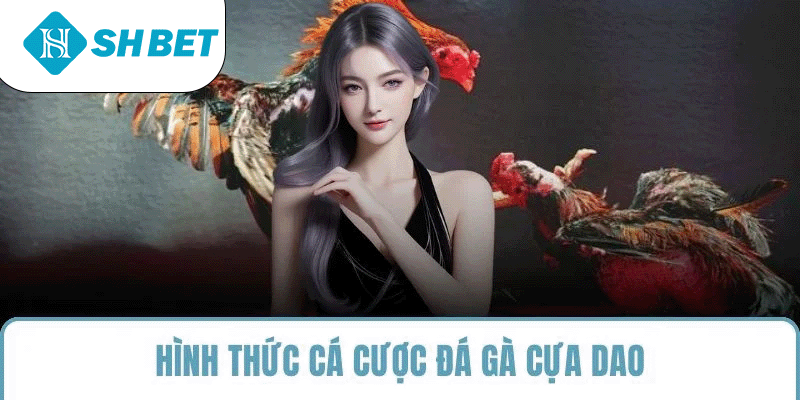 Đá Gà SHBET – Sân Chơi Cá Cược Uy Tín - KECIMO.IM