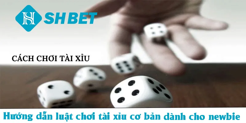 Cách Chơi Tài Xỉu SHBET Cho Người Mới Nhanh Về Bờ - KECIMO.IM