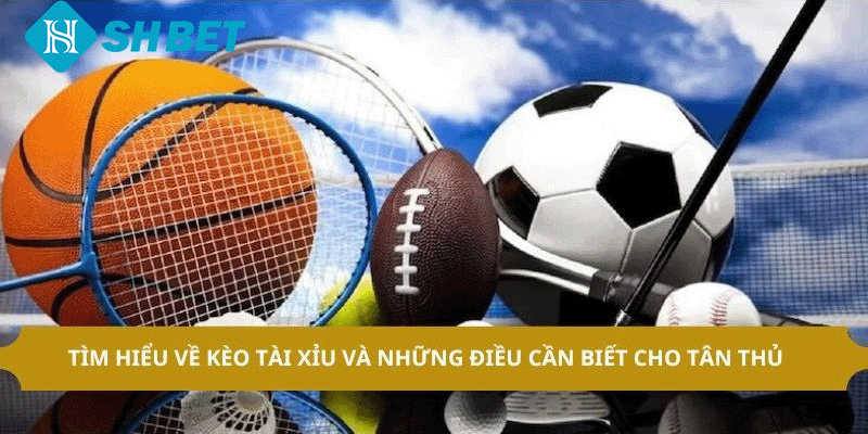 Thể Thao SHBET – Cược Trực Tuyến Uy Tín Số 1 Hiện Nay - KECIMO.IM