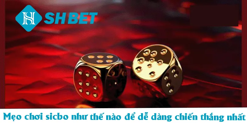 Cách Chơi Tài Xỉu SHBET Cho Người Mới Nhanh Về Bờ - KECIMO.IM