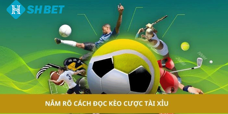Tìm Hiểu Về Kèo Tài Xỉu SHBET Những Điều Cần Biết Cho Tân Thủ - KECIMO.IM