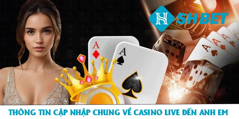 Sảnh Casino Live – Nơi Giải Trí Chất Lượng Uy Tín Top 1 - KECIMO.IM