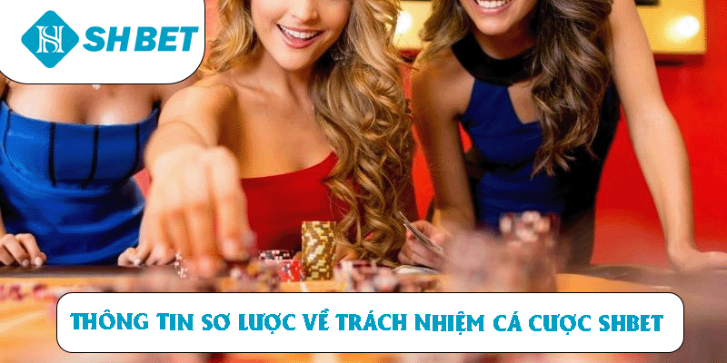 Trách nhiệm cá cược - Quy Định Chi Tiết Và Cập Nhật Mới Nhất - KECIMO.IM
