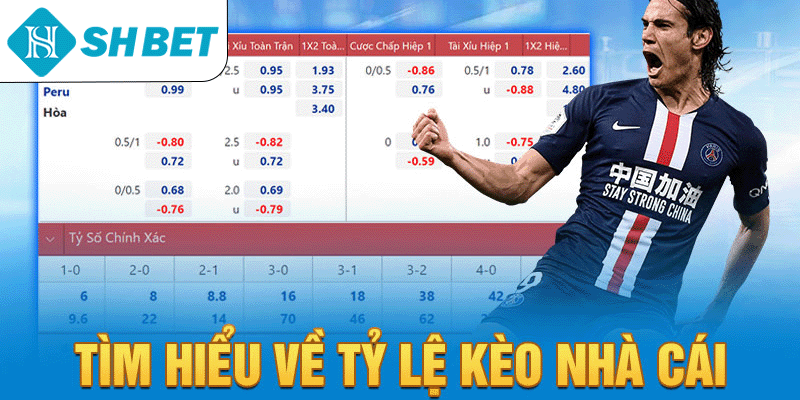 Tỷ lệ kèo nhà cái và cách đọc kèo hiệu quả cùng chuyên gia - KECIMO.IM