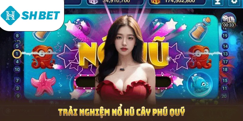 Nổ Hũ Cây Phú Quý SHBET Mang Đến Cơ Hội Kiếm Thưởng Dễ Dàng - KECIMO.IM
