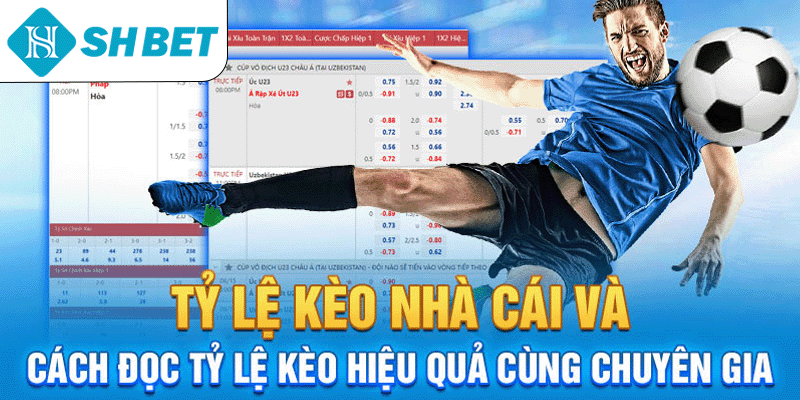 Thể Thao SHBET – Cược Trực Tuyến Uy Tín Số 1 Hiện Nay - KECIMO.IM