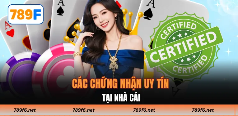 Giới Thiệu 789F - Hé Lộ Không Gian Giải Trí Đẳng Cấp - KECIMO.IM