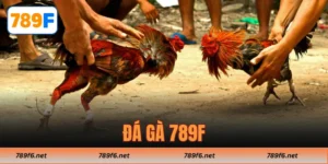 Top Game 789F - KECIMO.IM