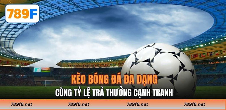 Cá Cược Bóng Đá - Kèo Đa Dạng Qua Hàng Loạt Giải Đấu Hot - KECIMO.IM