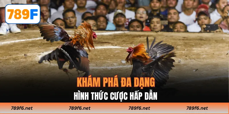 Đá Gà 789F - Kinh Nghiệm Thắng Lớn Cho Các Tay Chơi Online - KECIMO.IM