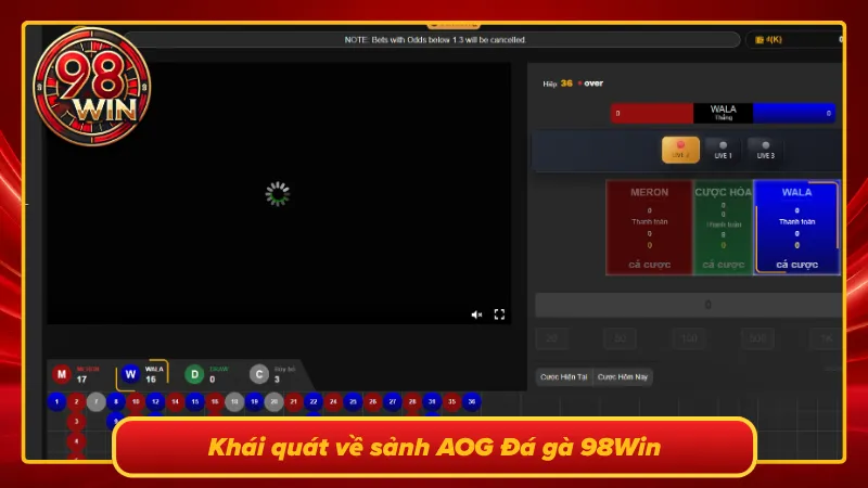 Khám Phá AOG Đá Gà 98Win: Sảnh Cược Chọi Kê Đỉnh Cao Châu Á - KECIMO.IM