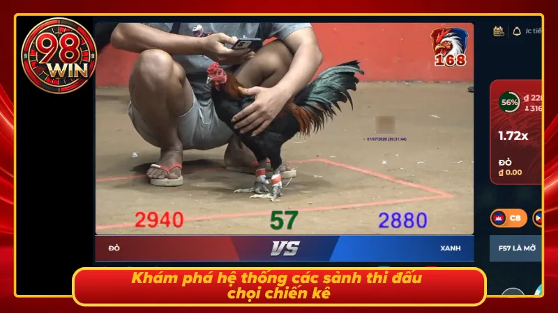 Khám Phá GA28 Đá Gà 98Win: Đỉnh Cao Cá Cược Chọi Kê Bất Bại - KECIMO.IM