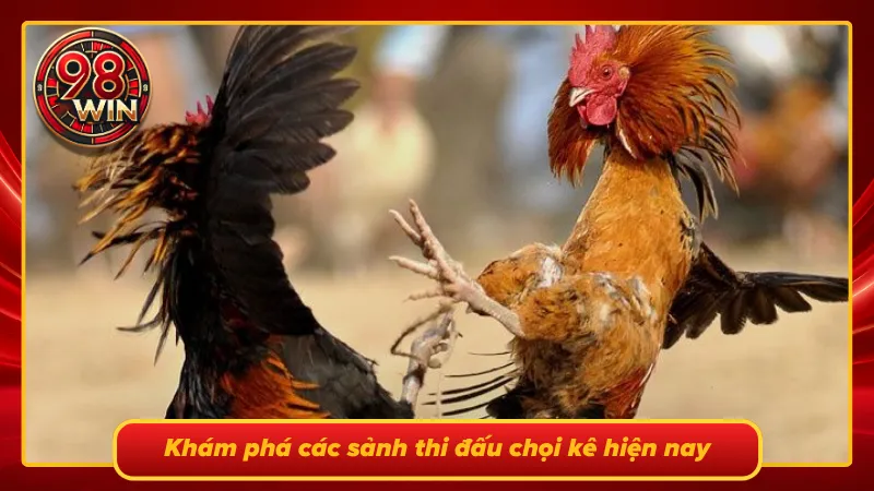 Odin Đá Gà 98Win: Đấu Trường Chọi Kê Uy Tín Hàng Đầu - KECIMO.IM