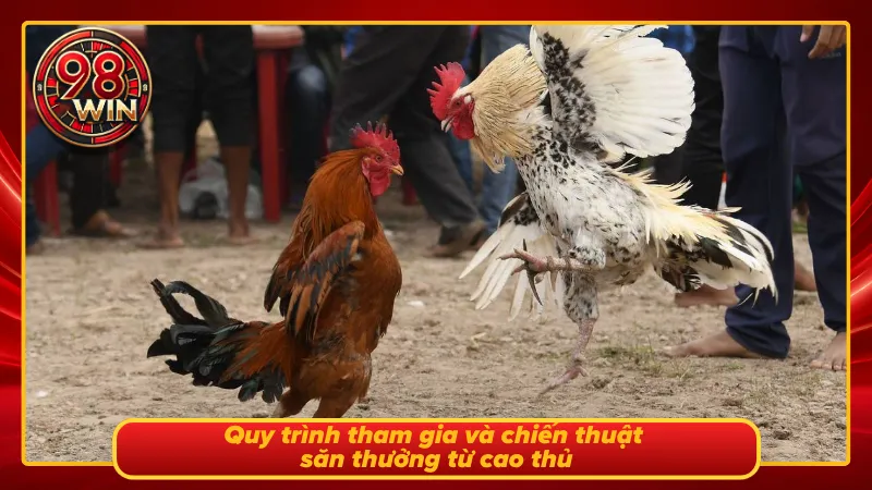 Ws168 Đá gà 98Win Đỉnh Cấp Với Vô Vàn Trận Chọi Kê Cực Cháy - KECIMO.IM